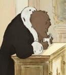 Bear Judge