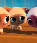 Kittens Who Lost Mittens