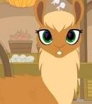 Farmer's Market Llama