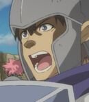 Platoon Commander of Hiden's Guard