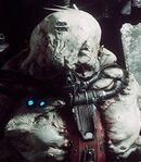 Authority Melee Mutant