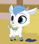 Farmer's Market Goat