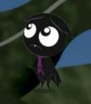 Scaredy Bat