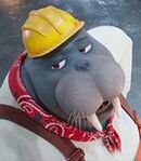 Construction Manager