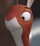 Second Little Squirrel