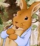 Peter Rabbit (Adult)