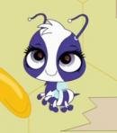 Honey Bee Who Looks Like Penny