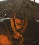 Green-Capped Martialist