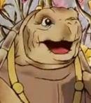 Mr. Alderman Ptolomy Tortoise