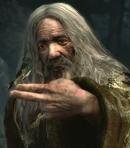 Radagast the Brown