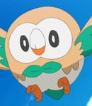Rowlet (Ash's)