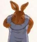 Flopsy Bunny (Adult)