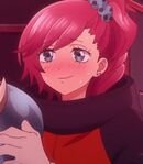 Anna Hojo / Heat Princess