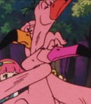 Flamboyance of Flamingos