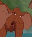 Tantor's Mother