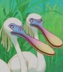 Spoonbill Twins