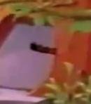 Jack Pumpkinhead Sr.