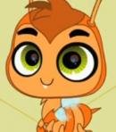 Honey Bee Who Looks Like Russell