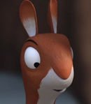 First Little Squirrel