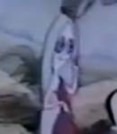 Hidea