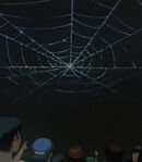 Concert Announcement