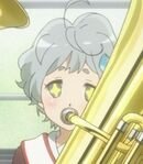 Platinum Diamond Kawashima