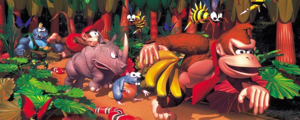 Donkey Kong Country