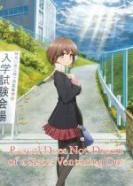 Rascal Does Not Dream of a Sister Venturing Out