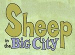 Sheep in the Big City