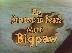 The Berenstain Bears Meet Bigpaw