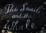 The Snail and the Whale