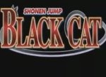 Black Cat