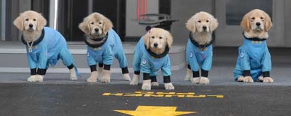 Space Buddies Banner