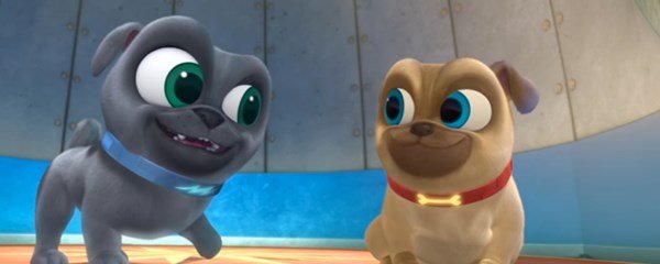 Puppy Dog Pals Banner