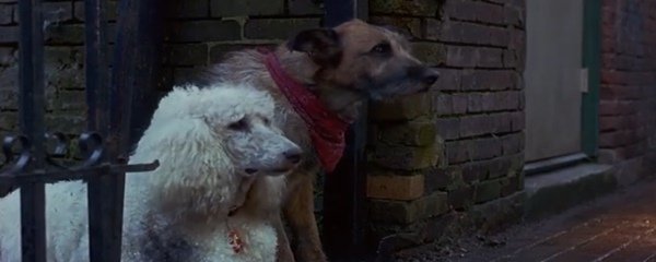 Look Who's Talking Now Banner