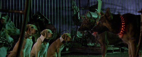 Marley & Me: The Puppy Years Banner