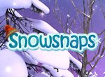 Snowsnaps