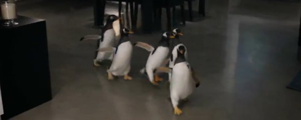 Mr. Popper's Penguins Banner