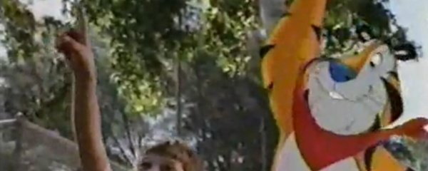 Frosted Flakes Banner