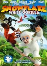 Snowflake, the White Gorilla